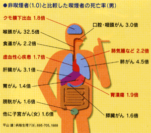 �i���҂̎��S���i�j�j