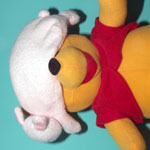 �A�C�s���[�ʐ^