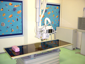 �����g�Q�����ʐ^